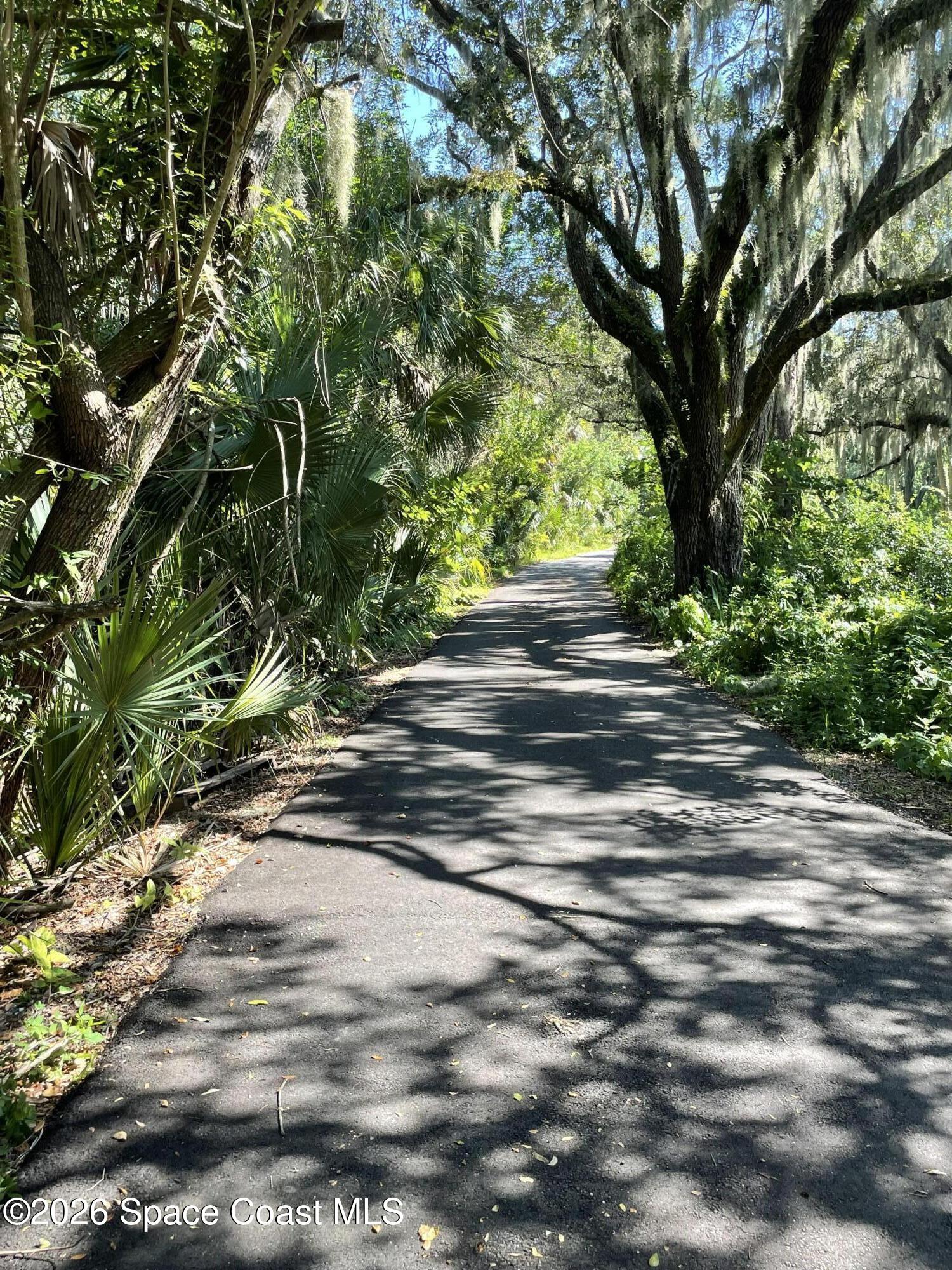 3600 Aurora Road, Unit A Melbourne, FL 32934 - Photo 6 of 6 a view of street with trees