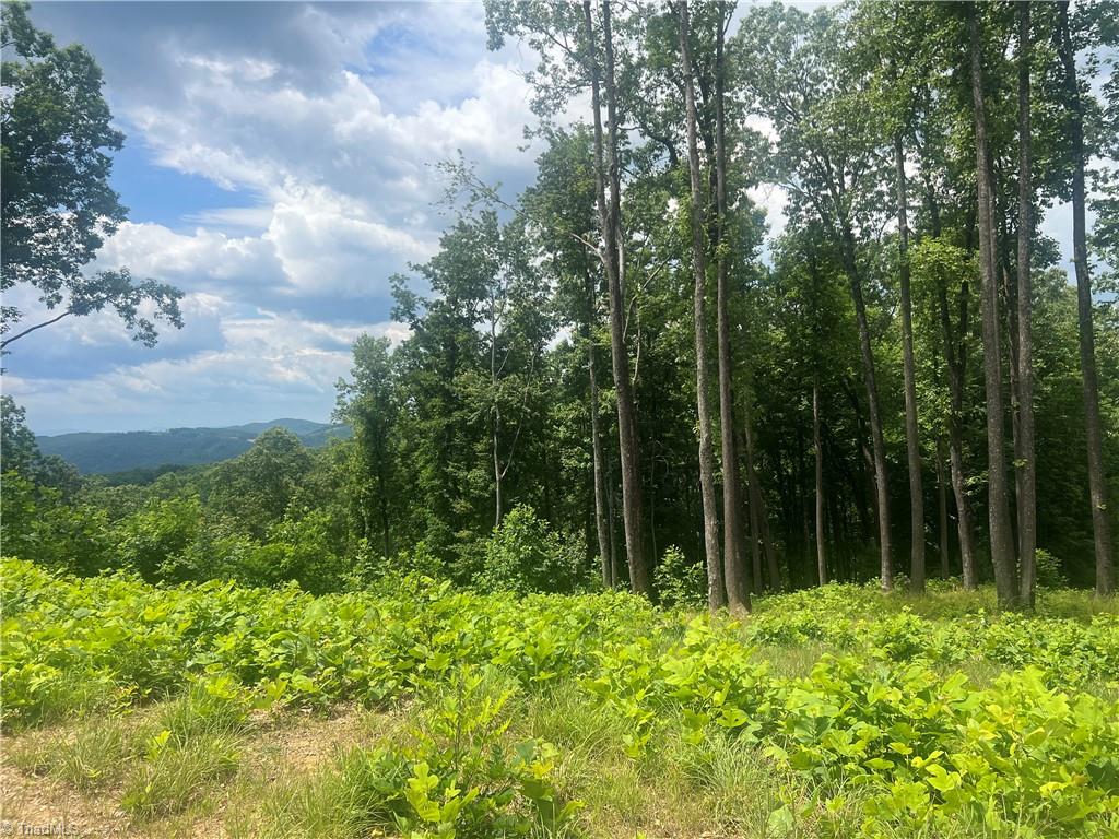 Tbd Wilderness Road Hays, NC 28635 - Photo 10 of 15