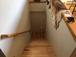6274 Skegemog Point Road Williamsburg, MI 49690 - Photo 14 of 39 1836255-13.JPG