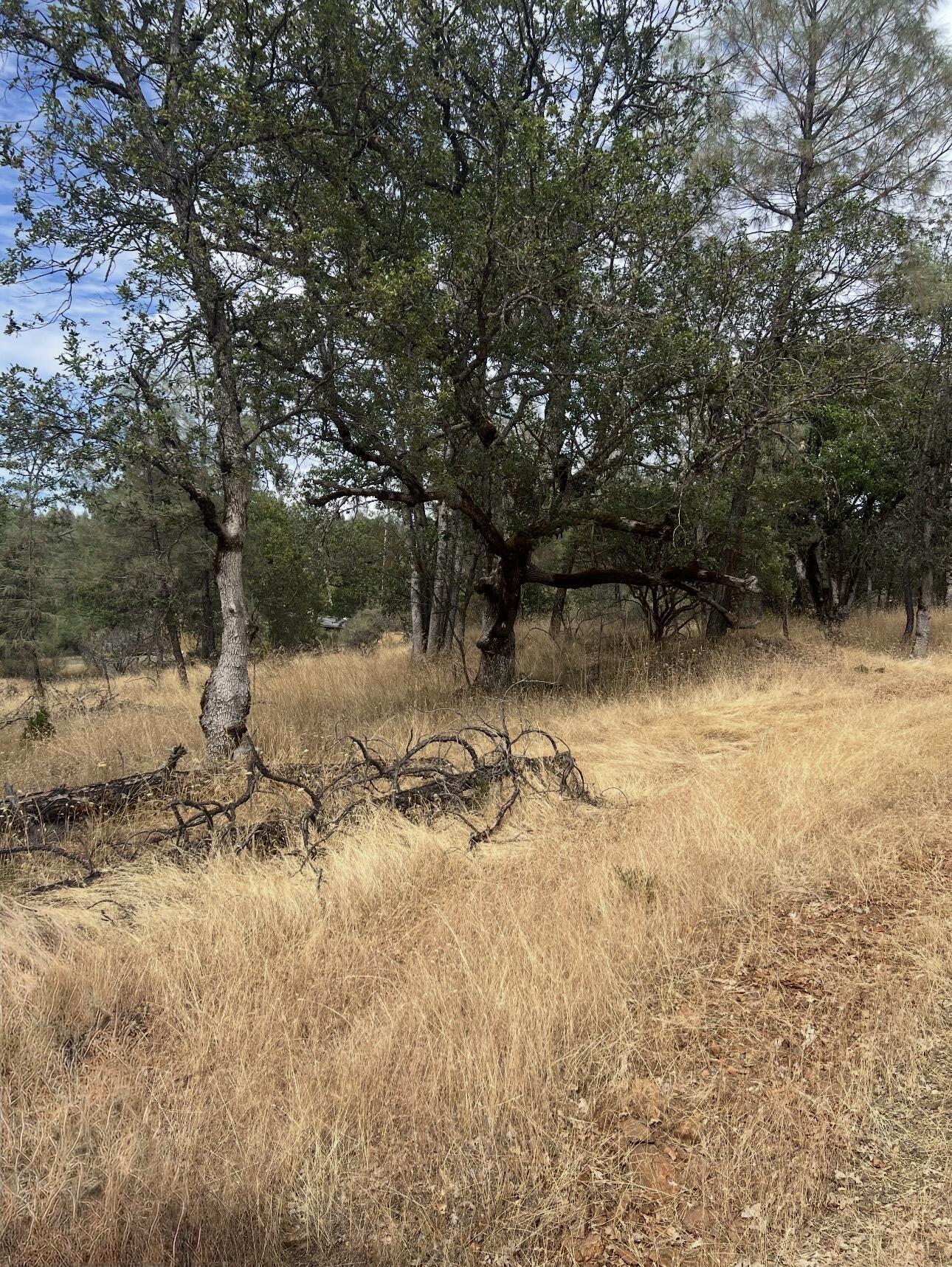 440 Ransom Road Weaverville, CA 96093 - Photo 17 of 25 Gallery Image 17