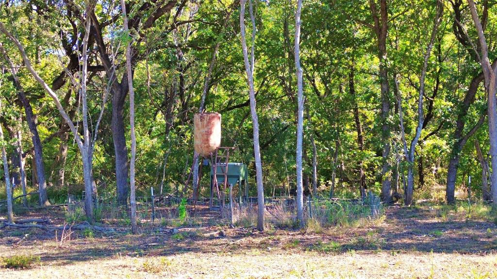 0 Bee Creek Road Maypearl, TX 76064 - Photo 6 of 39 a backyard of a house with lots of green space