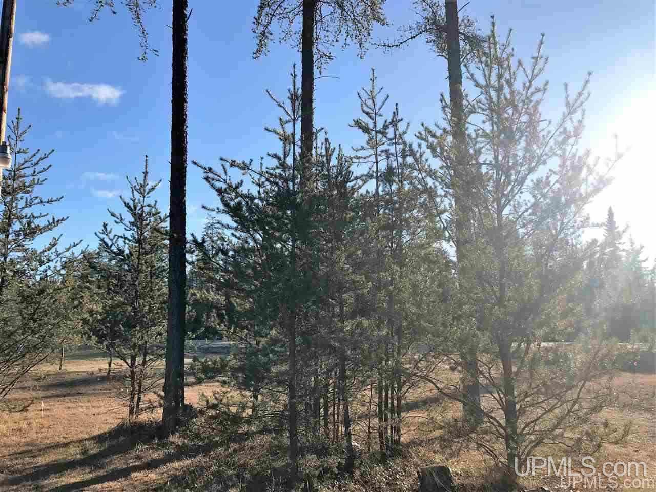 E7754 Co Road Wetmore, MI 49895 - Photo 41 of 42