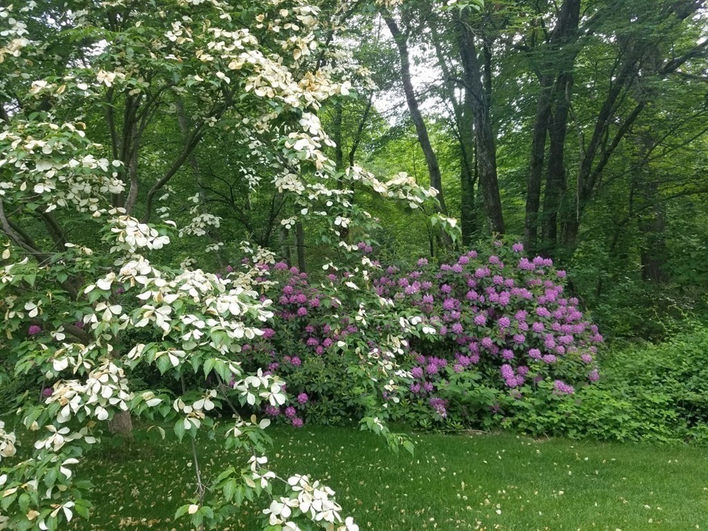 3 Francis Road Hopedale, MA 01747 - Photo 13 of 42 Gallery Image 13