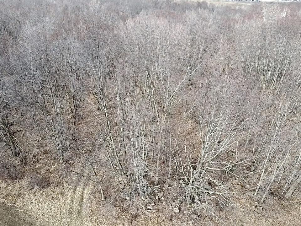 East Dodge Road Clio, MI 48420 - Photo 21 of 39 21