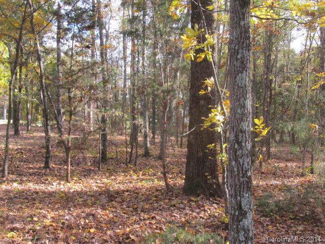 Lot B Lot B Newtown Road Marvin, NC 28173 - Photo 1 of 3
