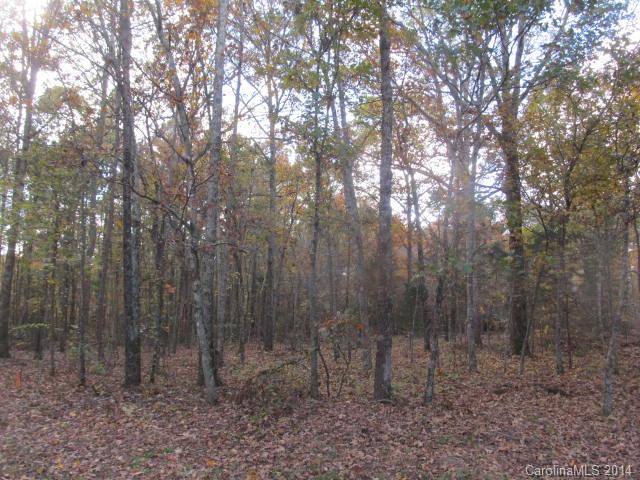Lot B Lot B Newtown Road Marvin, NC 28173 - Photo 2 of 3