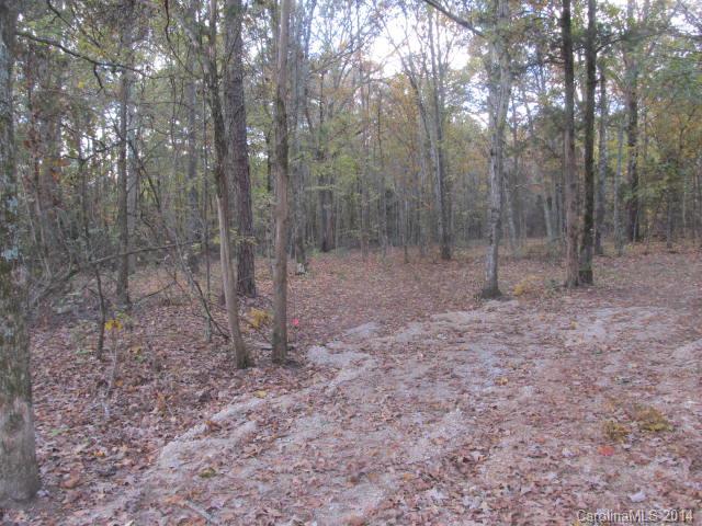 Lot B Lot B Newtown Road Marvin, NC 28173 - Photo 3 of 3