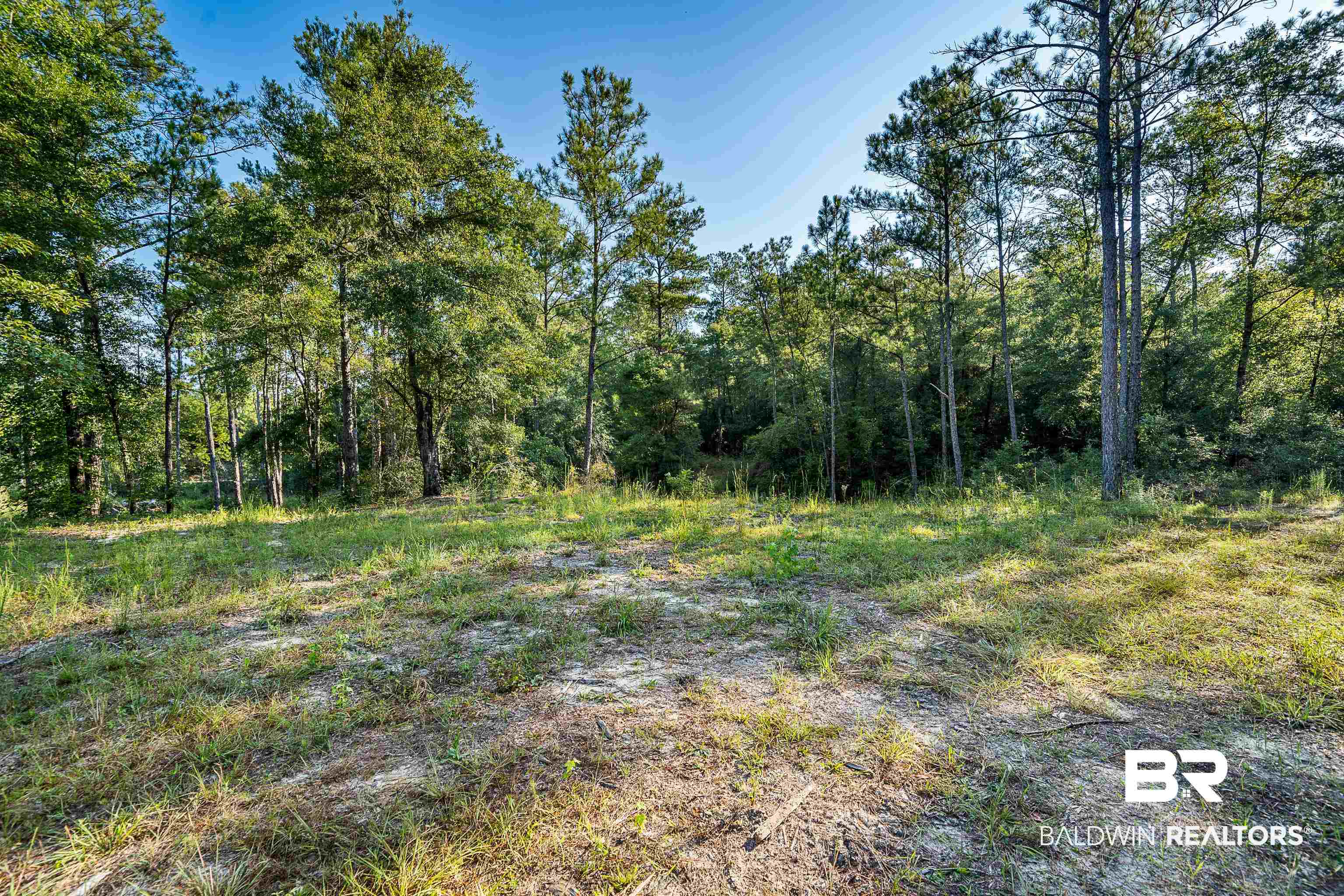 8190 Dixon Road Bay Minette, AL 36507 - Photo 7 of 13