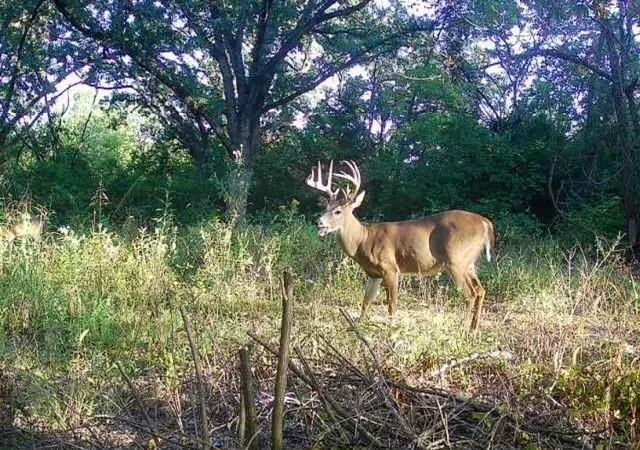 $599,000 | Argo Road, Independence, MO 64057