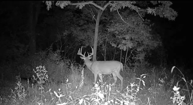 $599,000 | Argo Road, Independence, MO 64057