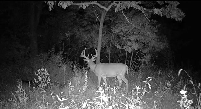 Argo Road Independence, MO 64057 - Photo 11 of 18