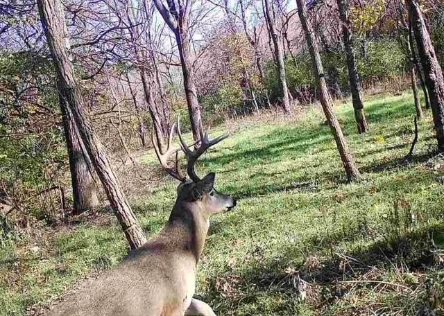 $599,000 | Argo Road, Independence, MO 64057