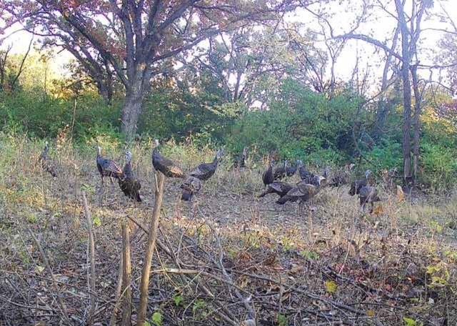 Argo Road Independence, MO 64057 - Photo 13 of 18