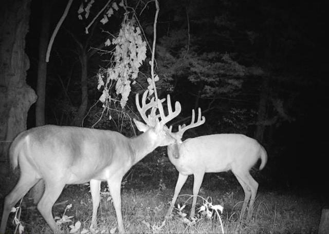 Argo Road Independence, MO 64057 - Photo 14 of 18