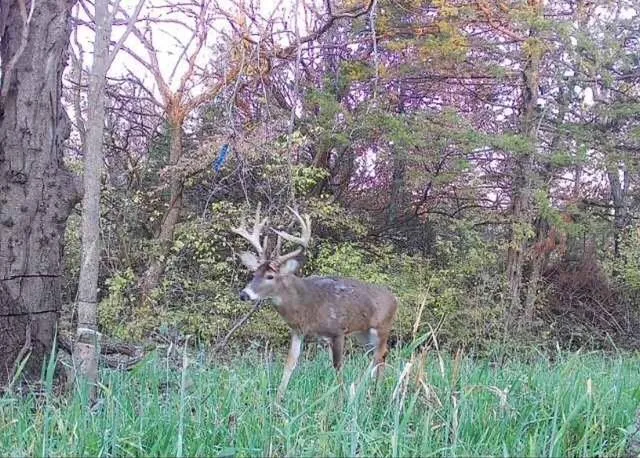 $599,000 | Argo Road, Independence, MO 64057