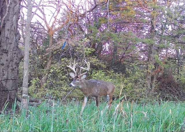 Argo Road Independence, MO 64057 - Photo 15 of 18