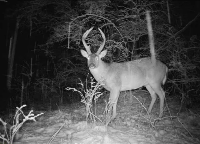 $599,000 | Argo Road, Independence, MO 64057