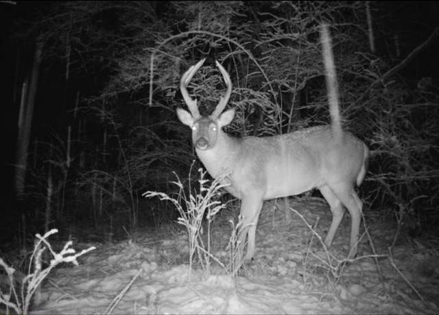 Argo Road Independence, MO 64057 - Photo 16 of 18