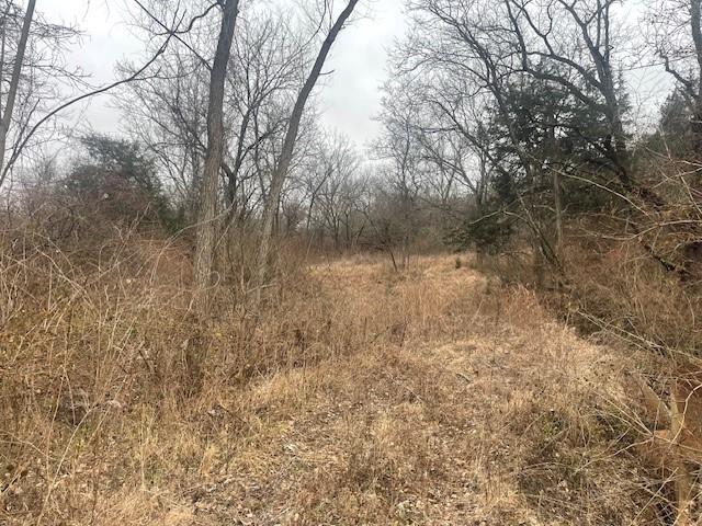 Argo Road Independence, MO 64057 - Photo 5 of 18