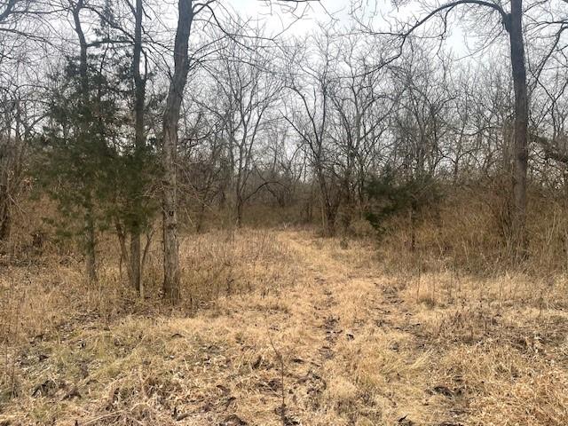 Argo Road Independence, MO 64057 - Photo 6 of 18