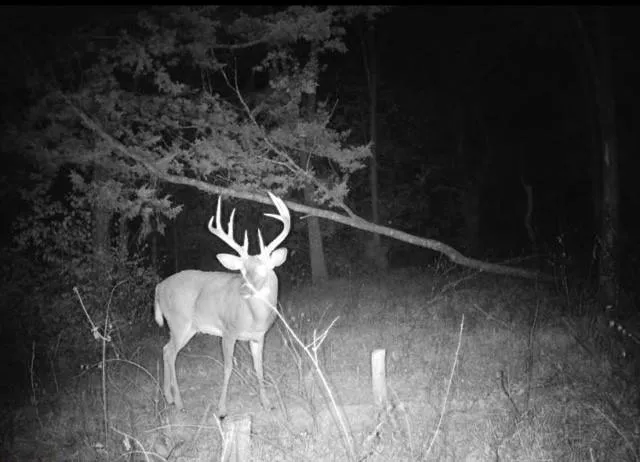 $599,000 | Argo Road, Independence, MO 64057