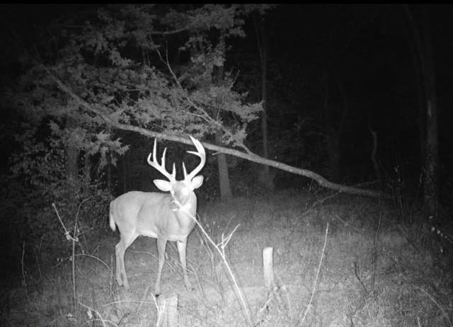 Argo Road Independence, MO 64057 - Photo 9 of 18
