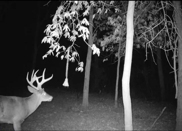 $599,000 | Argo Road, Independence, MO 64057