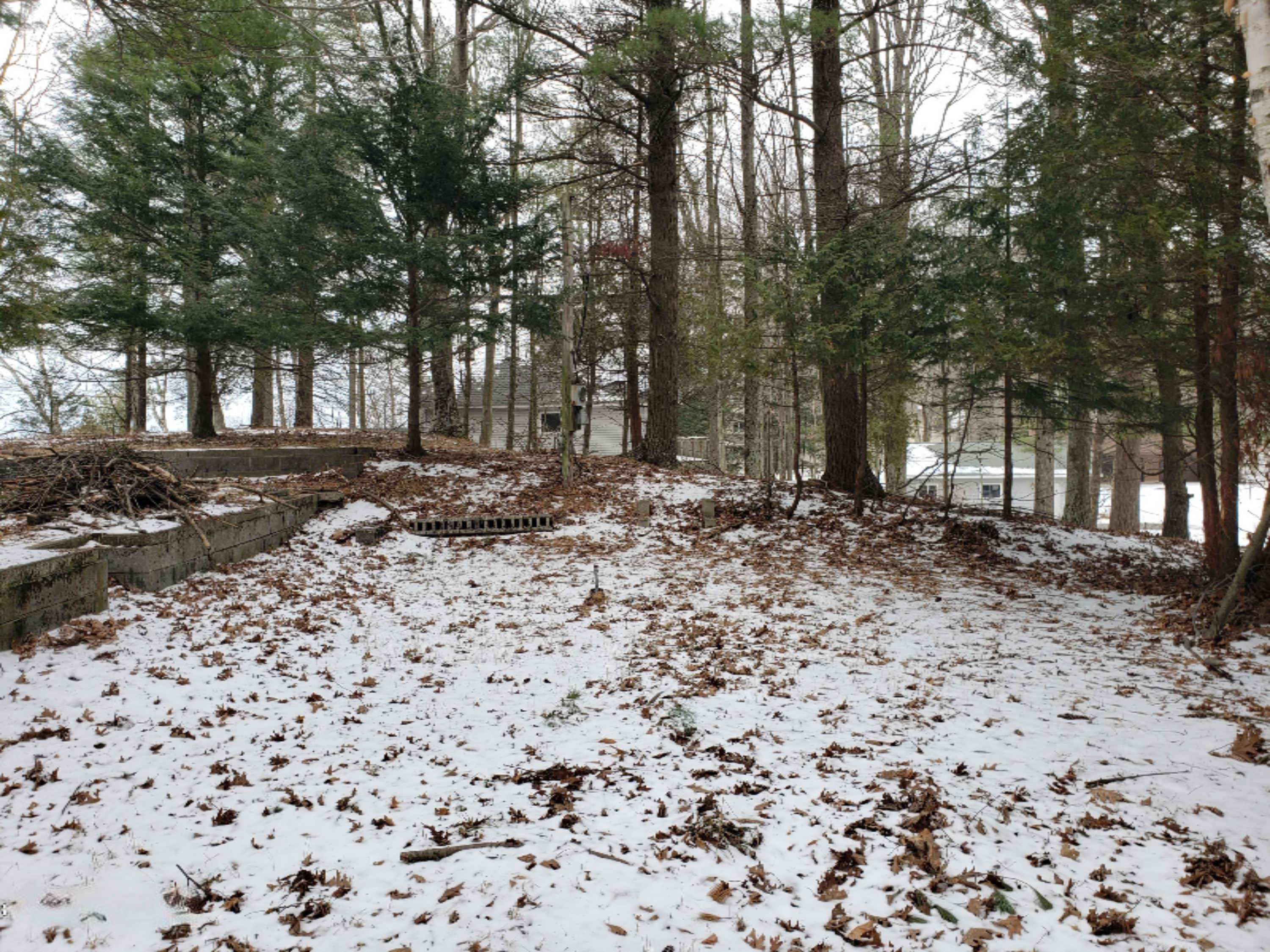 Parcel A North Ridge Road Mears, MI 49436 - Photo 3 of 25 20201229_151331