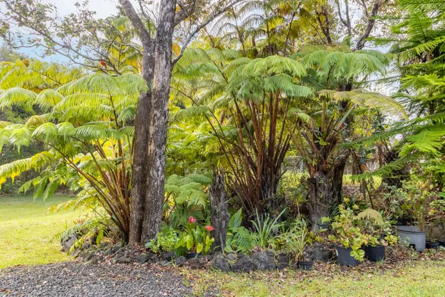 $529,785 | 99-7814 Kapoha Place, Volcano, HI 96785