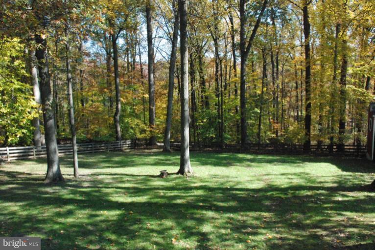 Exterior (Rear)