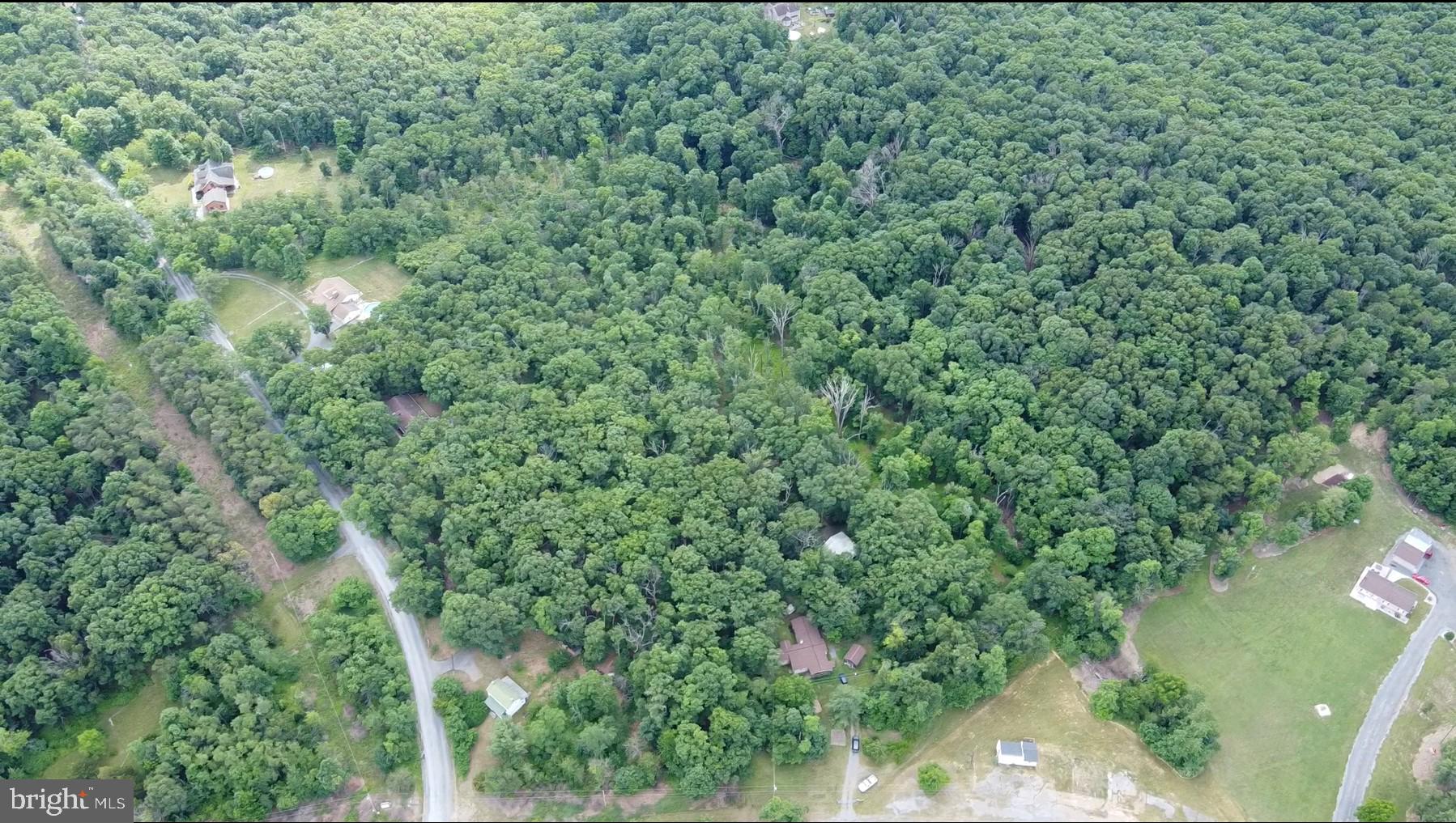 1917 South Timber Ridge Road Cross Junction, VA 22625 - Photo 17 of 19