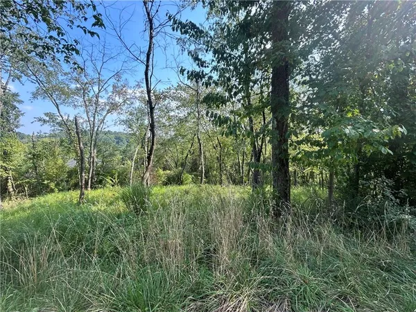 a view of outdoor space and trees all around
