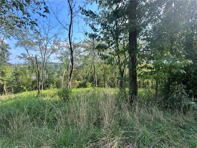 a view of outdoor space and trees all around