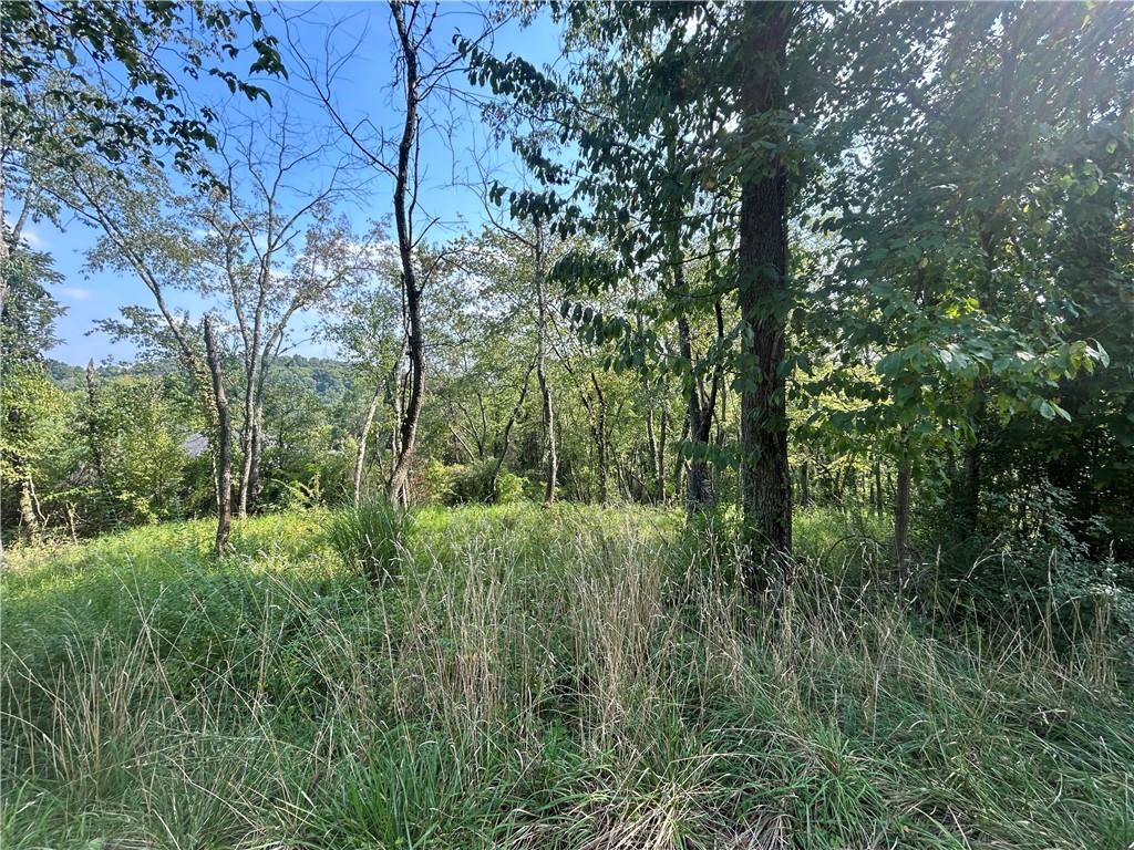 0 North Hills Road Murrysville, PA 15668 - Photo 2 of 7