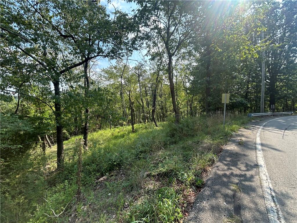 0 North Hills Road Murrysville, PA 15668 - Photo 4 of 7 a view of a lush green forest