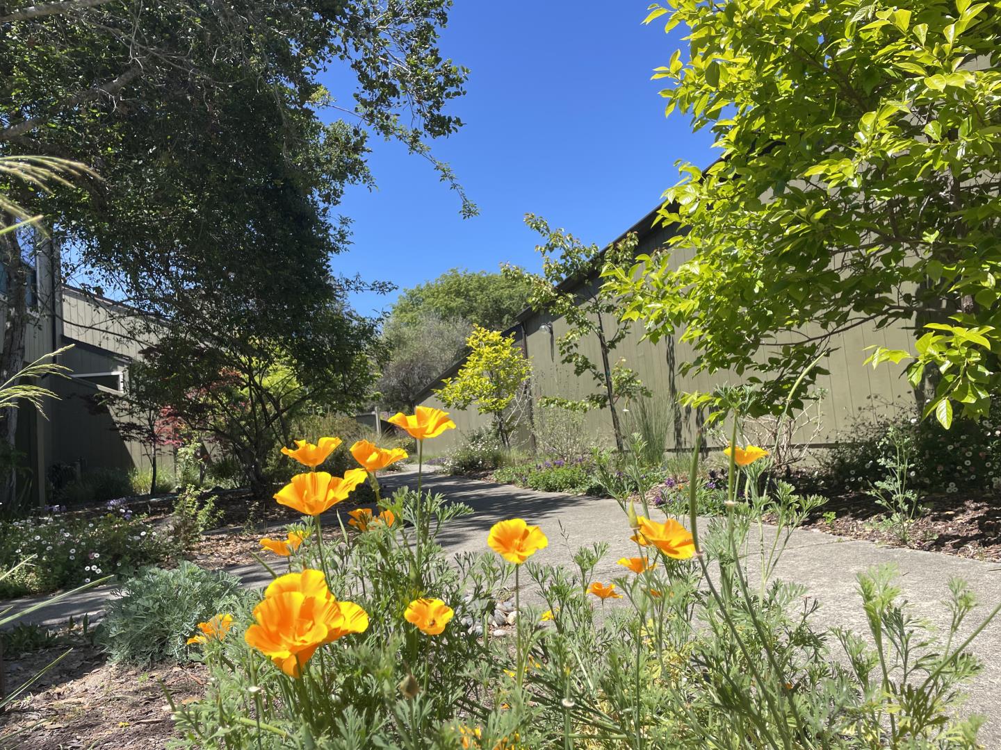 2747 Subec Lane Soquel, CA 95073 - Photo 28 of 34 a view of a swimming pool with an outdoor seating