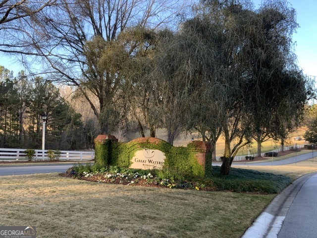a street view with large trees