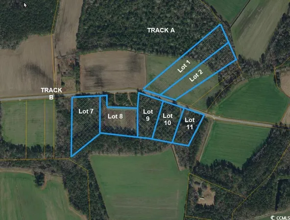 $75,000 | Lot 11 Oak Grove Church Road, Nichols, SC 29581