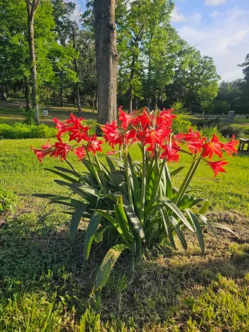 a picture of a bench in front of door