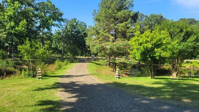 a view of a swimming pool with a garden