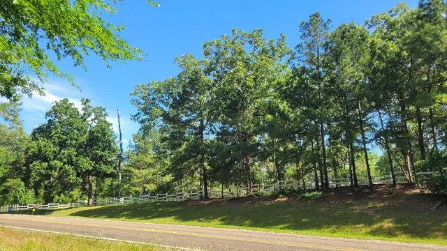 a view of a garden with a bench