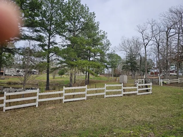a view of a yard with large trees