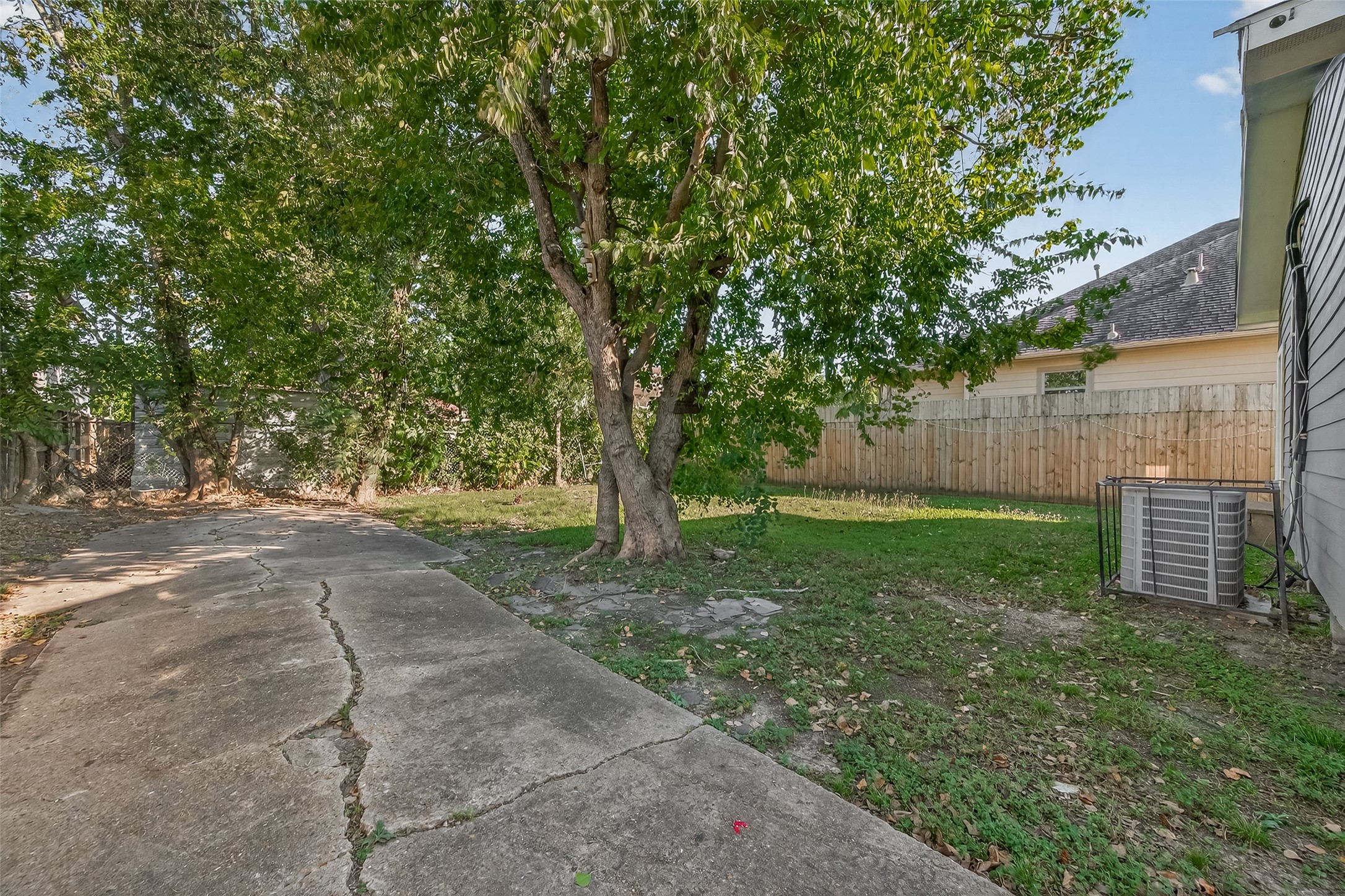 8211 Parnell Street Houston, TX 77051 - Photo 22 of 22 a view of backyard with tree