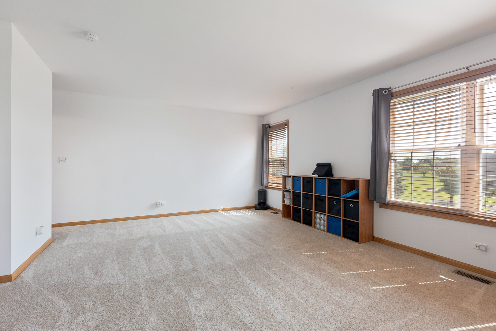 9317 Nicholas Lane Spring Grove, IL 60081 - Photo 18 of 29 Gallery Image 18