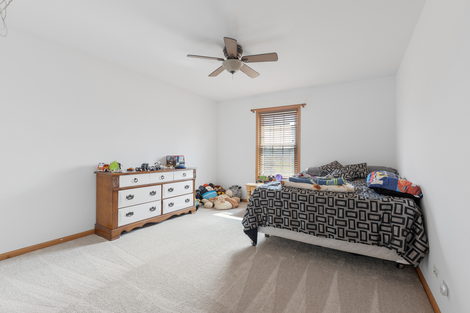 9317 Nicholas Lane Spring Grove, IL 60081 - Photo 19 of 29 Gallery Image 19