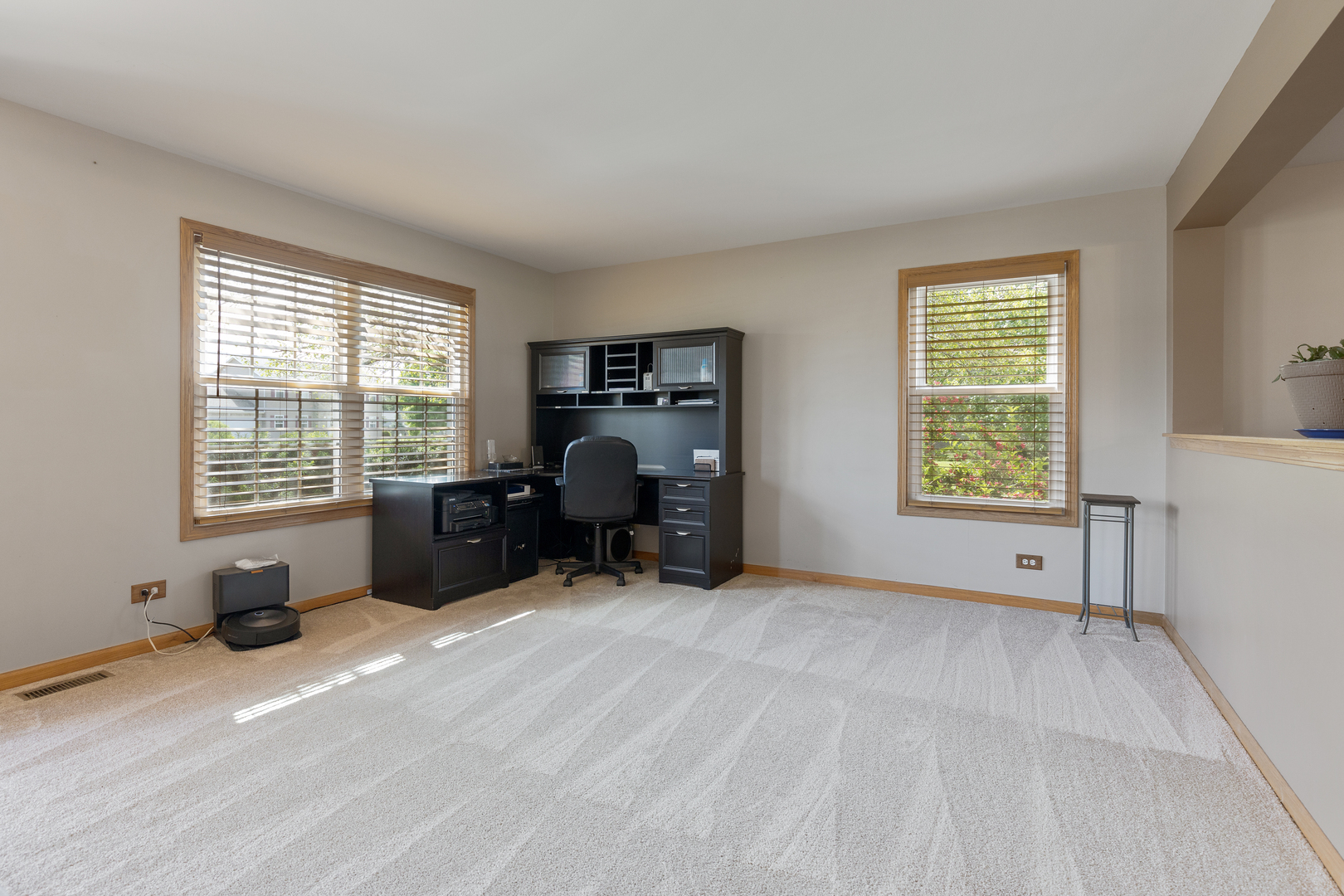9317 Nicholas Lane Spring Grove, IL 60081 - Photo 10 of 29 Gallery Image 10