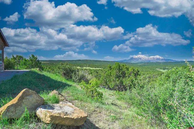 a view of a garden with an outdoor space