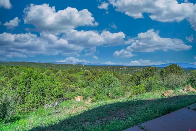 a view of a bunch of trees