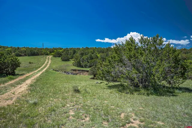 an aerial view of a house with a yard and lake view
