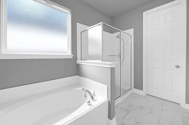 a bathroom with a bathtub and a shower